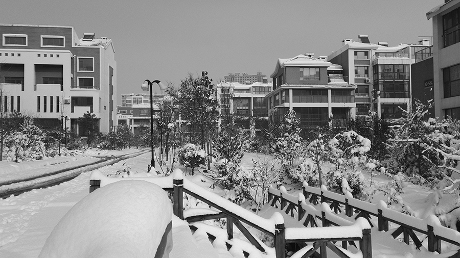雪后-蒋学华